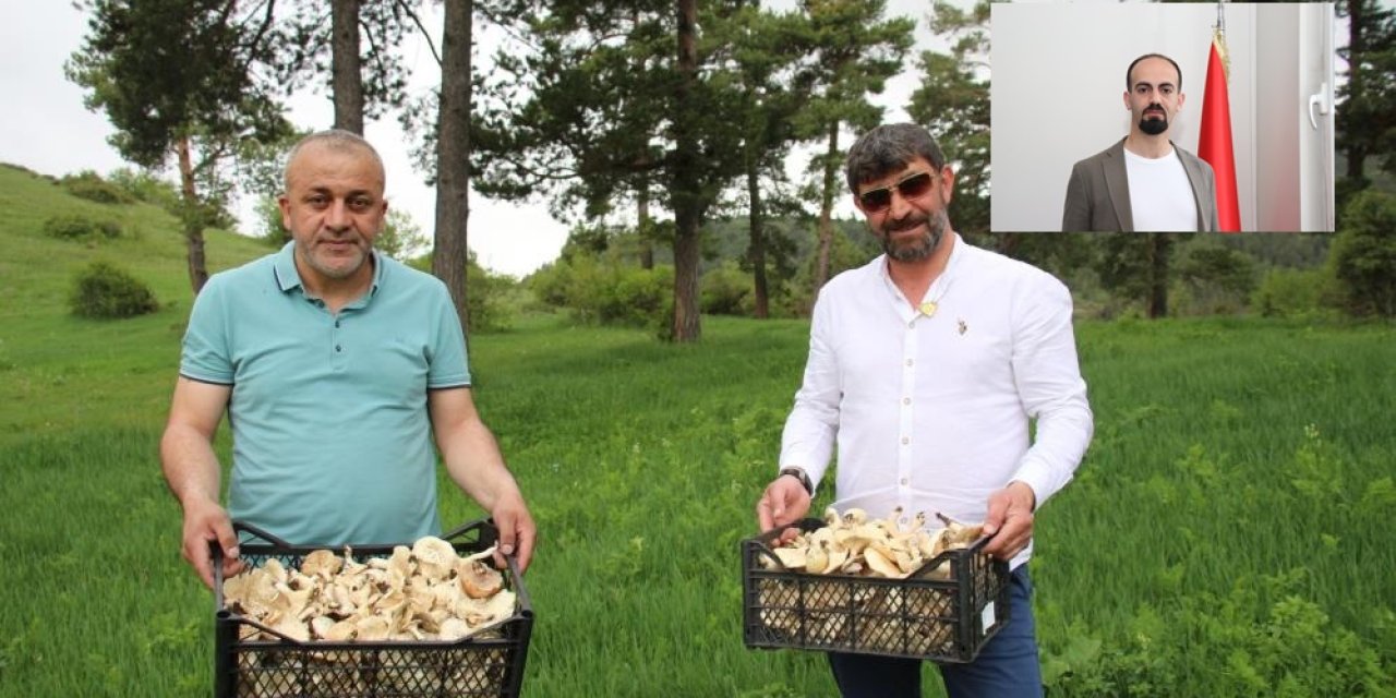 Erzurum'da vatandaşlara "zehirli mantar" uyarısı