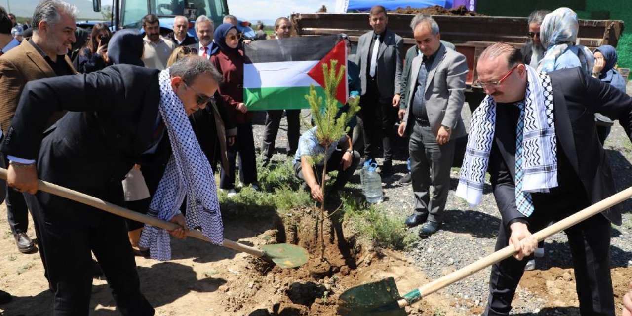 Gazze hatıra ormanında umut yeşerecek