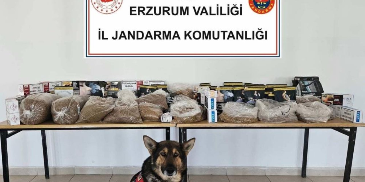Jandarmadan kaçak tütün operasyonu