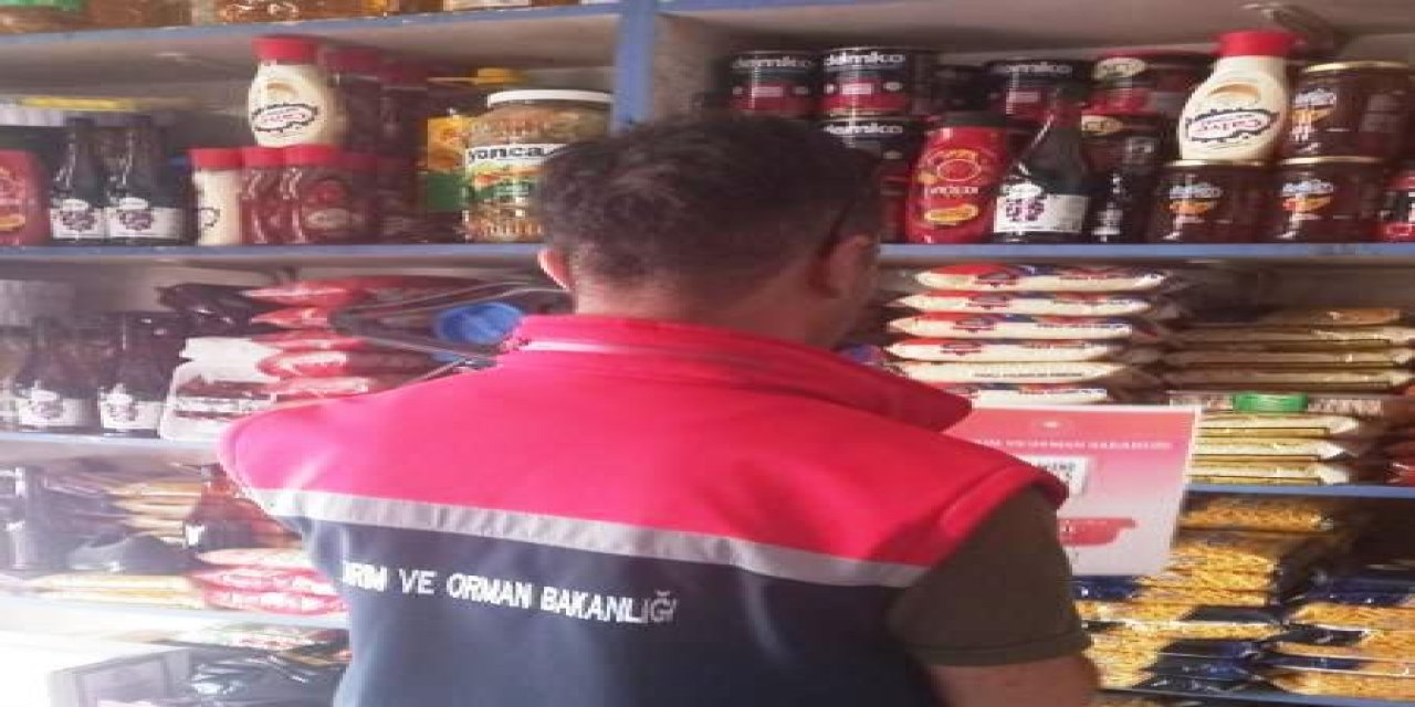 Gıda satıcılarına yönelik denetimler sürüyor