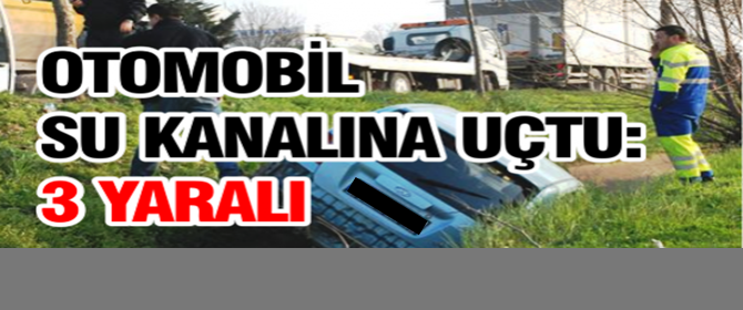 Erzurum'da Otomobil Su Kanalına Uçtu: 3 Yaralı