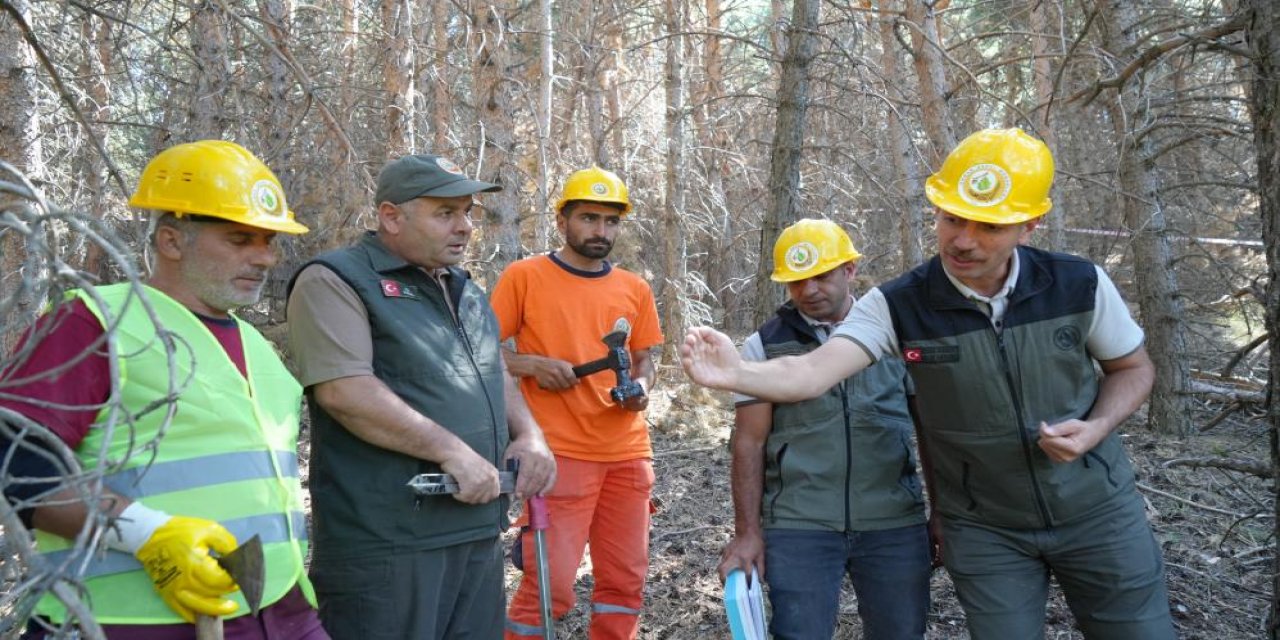 Palandöken'de yangına karşı seferberlik