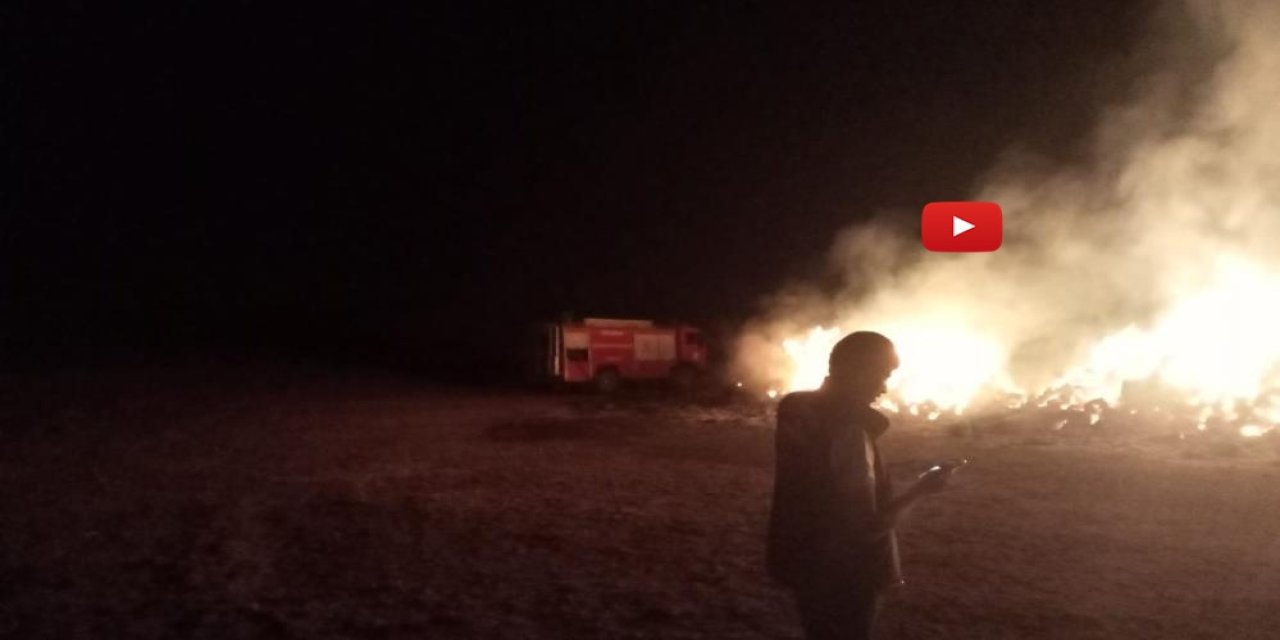 Erzurum’oa ot yangını