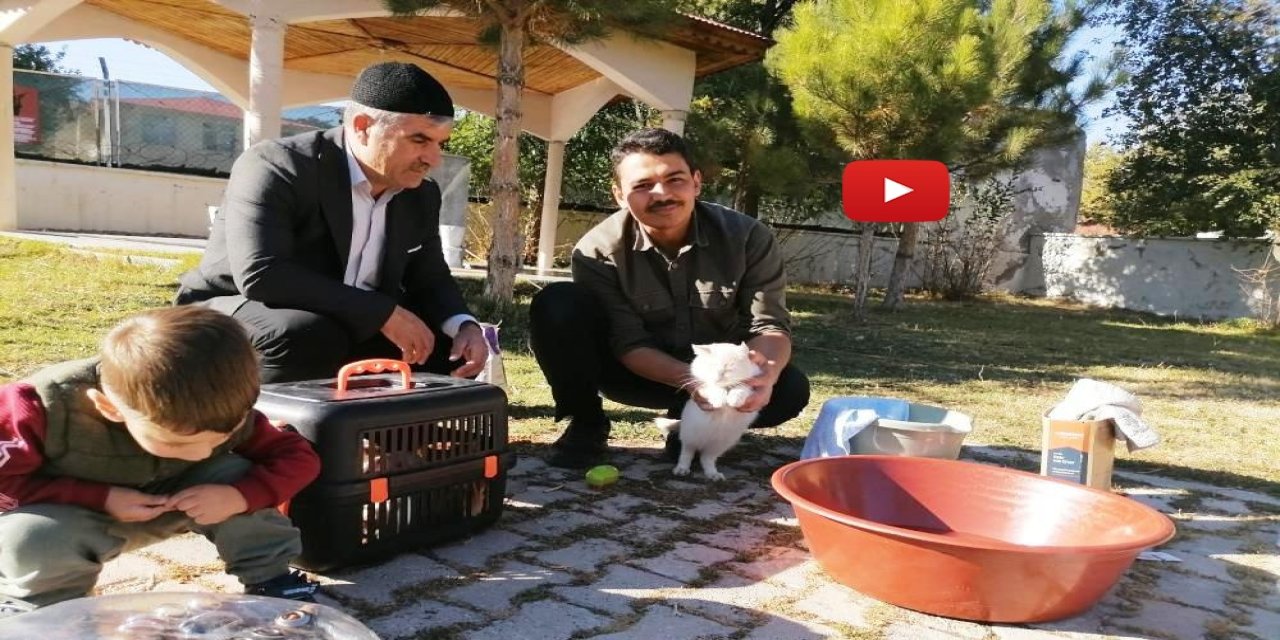 Cami imamı onlarca kediye bakıyor