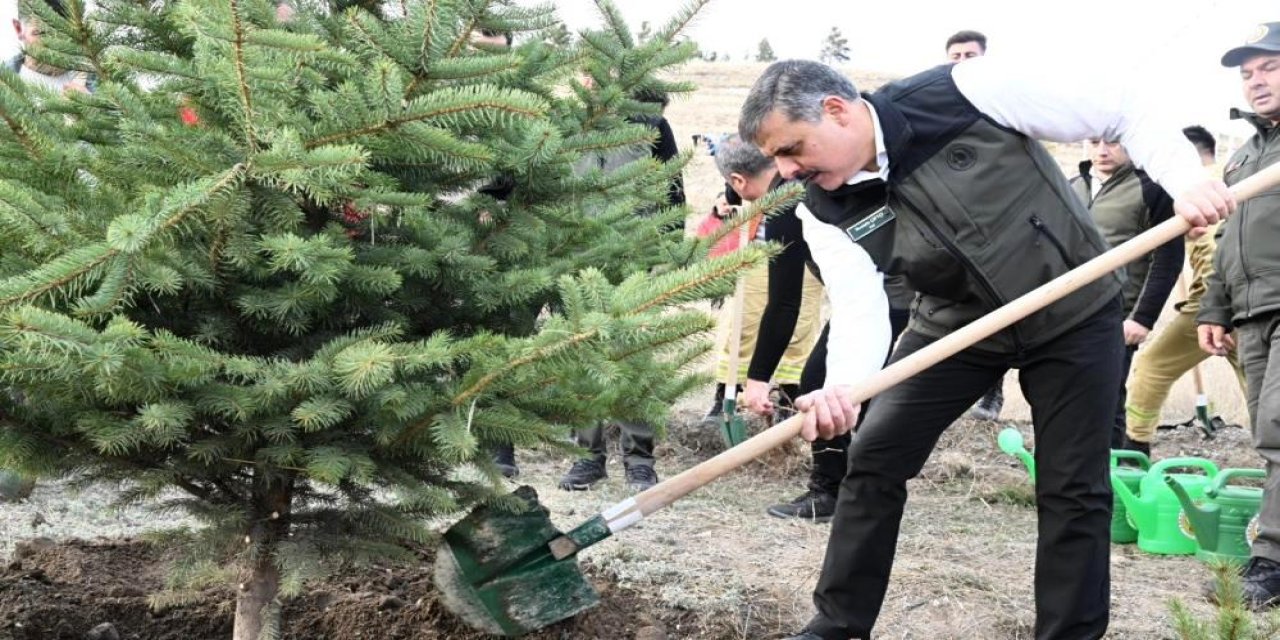 "Hastaya kan, ormana can"