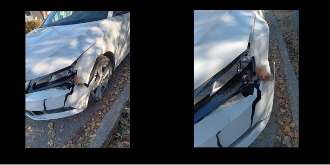 Ayıya çarpan otomobil hasar aldı