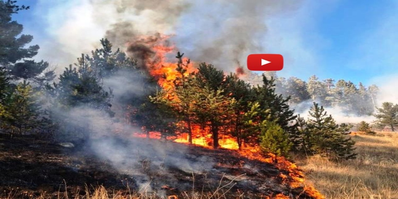 Erzurum’da orman yangını
