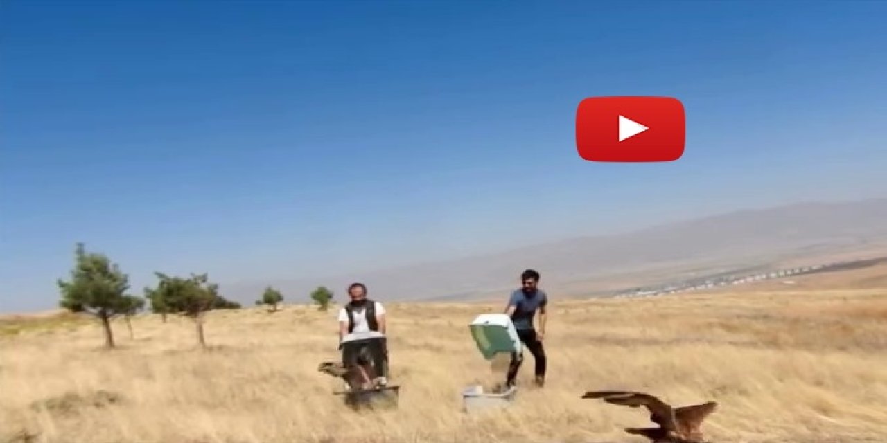 Kızıl Şahinler özgürlüğe uçtu