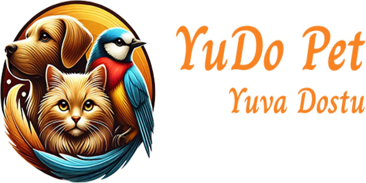 Köpek Sahiplenme: Sadakatin Gerçek Anlamını Keşfedin