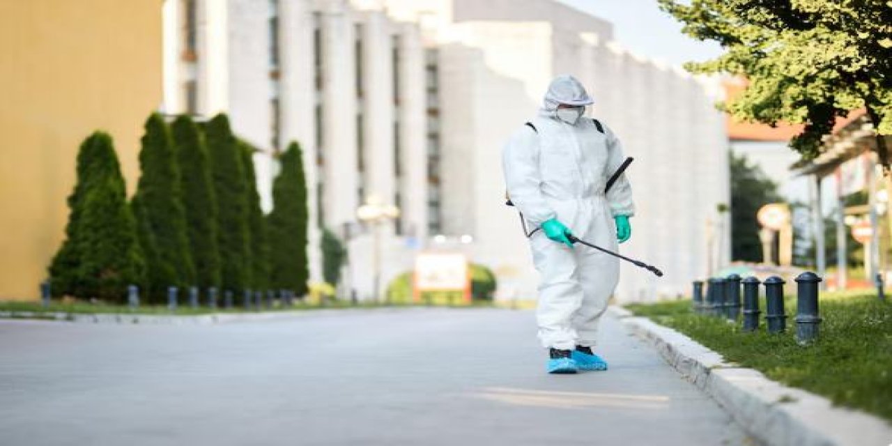 İzmir Böcek İlaçlama