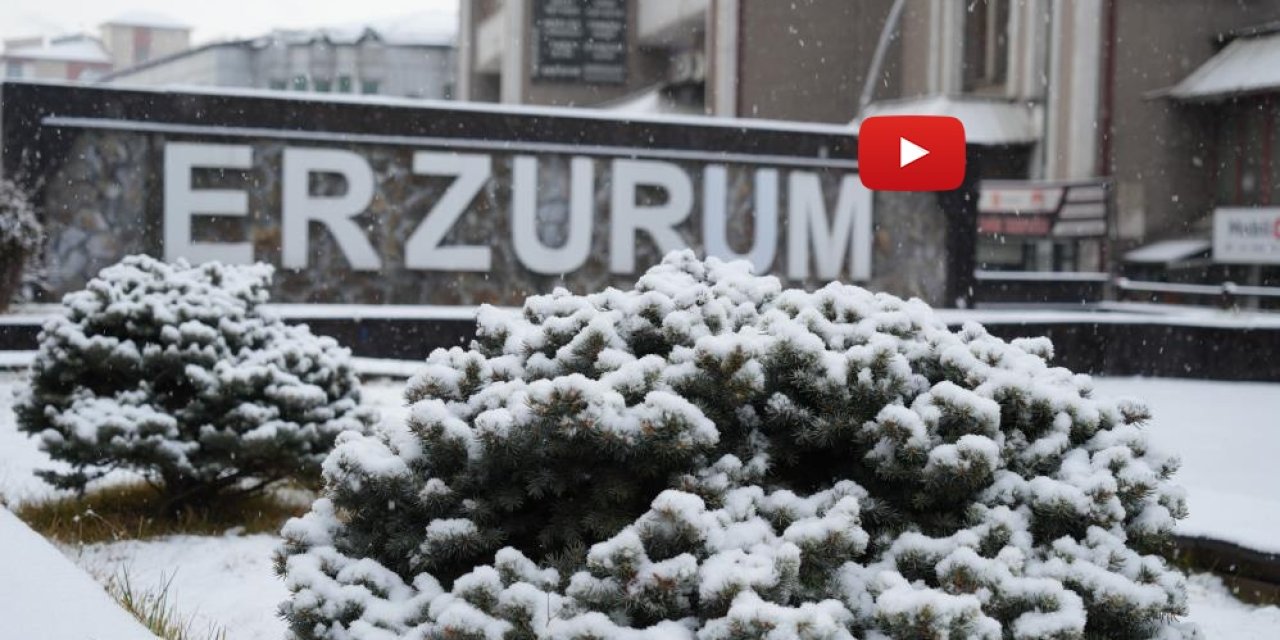 Erzurum güne karla başladı