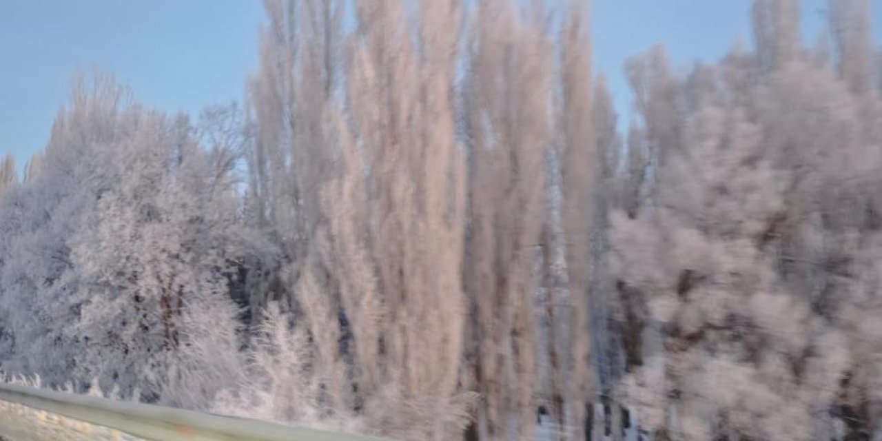 Aşkale'de Sibirya soğukları: Termometreler -30’u gösterdi