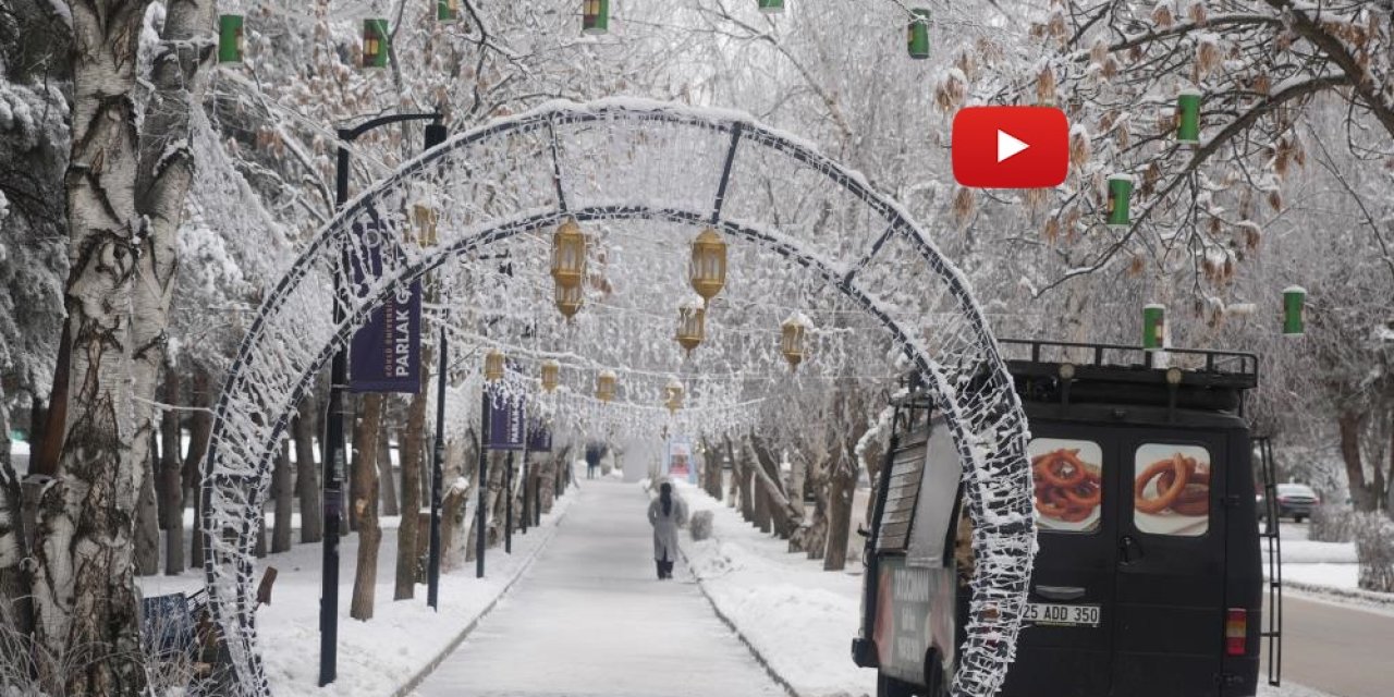 Erzurum'da soğuk havanın etkisiyle ağaçlar kırağı tuttu