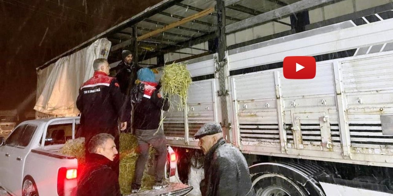 Hayvanlar aç kalmasın diye imdada yetiştiler