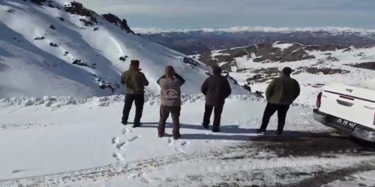 Kaçak ve usulsüz avlanmaya geçit vermiyorlar