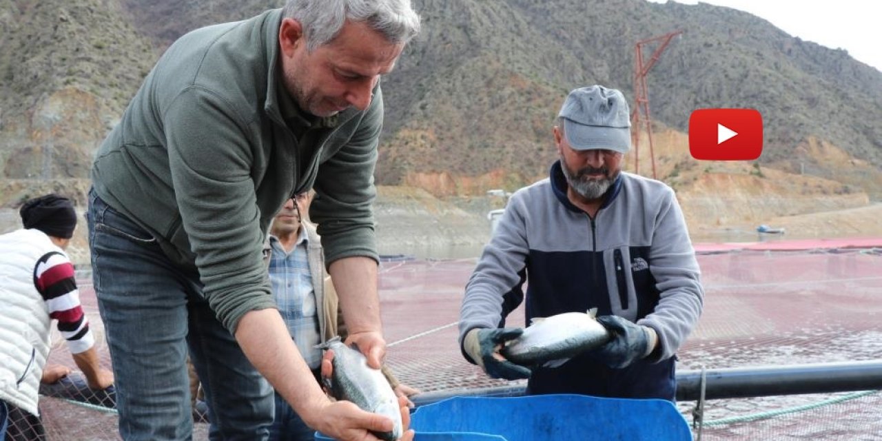 Denizi olmayan Erzurum'da yılda 300 tona yakın balık üretiyorlar
