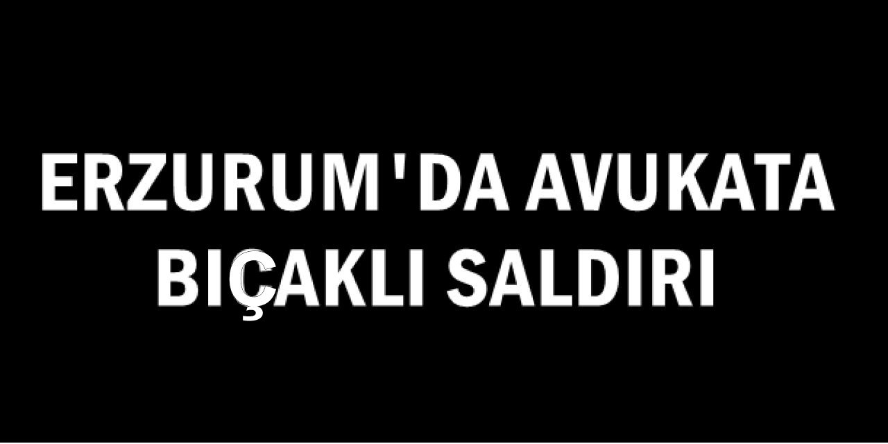 Şüpheli adli kontrolle serbest
