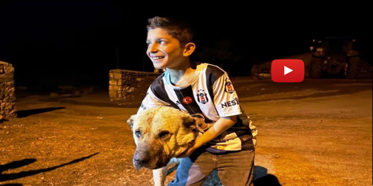 Sencar'ın imdadına çoban köpeği Kral yetişti