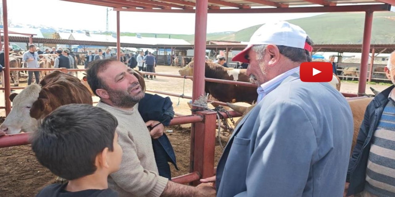 Kurban pazarlarında hareketlilik başladı