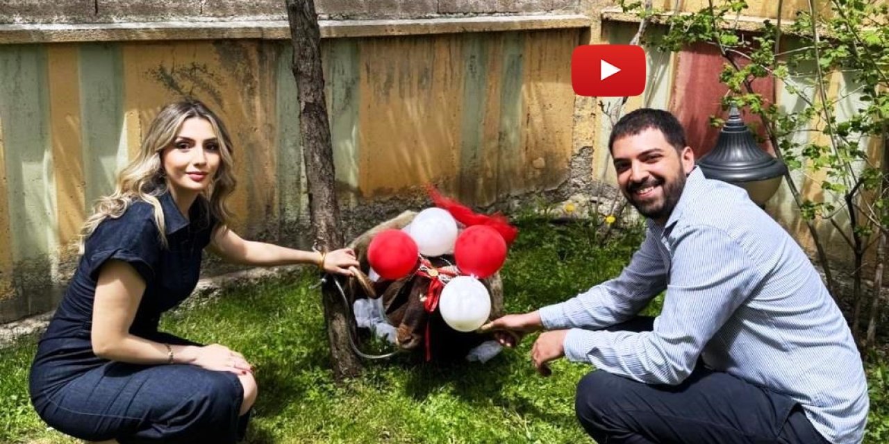 Erzurum'da asırlık gelenek yaşatılıyor: Gelin adaylarına süslenmiş "Nişan Koçu" hediyesi
