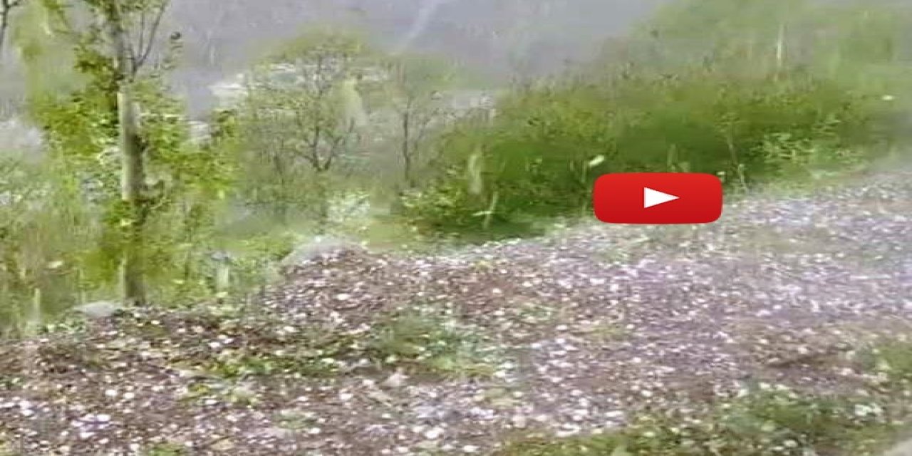 Erzurum'da ceviz büyüklüğünde dolu yağdı