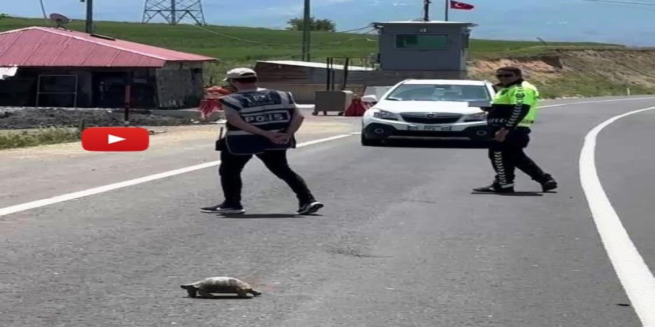 Hınıs'ta yürekleri ısıtan görüntü