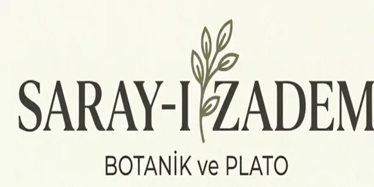 YEŞİLİN GÜCÜ: SALON & OFİS BİTKİLERİ İLE VERİMLİ ALANLAR