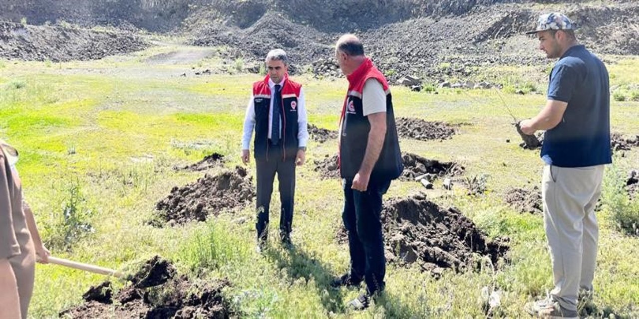 Palandöken’de 2 bin 500 rakımda yeşil kalkan