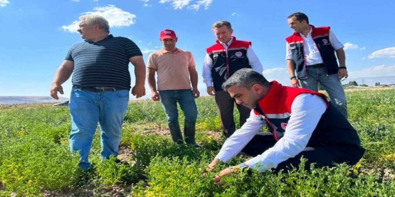 Erzurum’da tarımsal destekler meyvesini veriyor