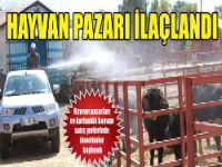 Hayvan pazarlarında denetimler başladı