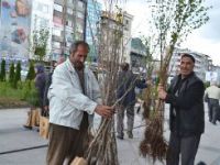 Fidan Dağıtımında İzdiham Yaşandı...