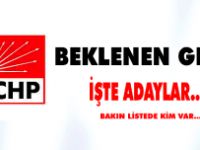 İşte CHP'nin Erzurum Milletvekili adayları..