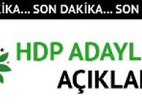 İşte HDP'nin Erzurum Milletvekili Adayları