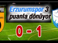 Erzurumspor 3 puanla dönüyor