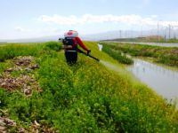 Büyükşehir Belediyesi İlaçlama Çalışmalarına Hız Verdi