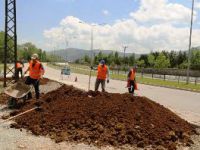 Büyükşehir Belediyesi Ana Arterlere Hazır Çim Seriyor