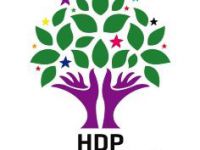 İşte HDP'nin Erzurum Adayları