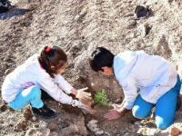 Teke Deresi Göleti sosyal tesis olarak Erzurum turizmine kazandırılıyor