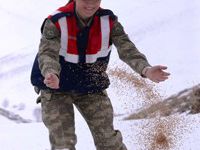 Erzurum'da Yaban Hayvanlarına Yem Bırakıldı