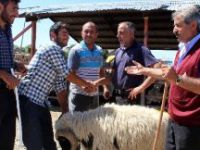 Erzurum Hayvan Pazarında Hareketlilik Başladı