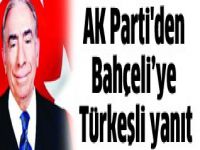 Ak Parti MHP'yi Türkeşle vuracak...