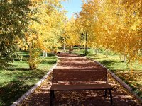 Ata Botanik Park Hazan Mevsiminde İlgi Odağı Oldu