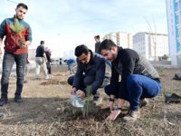 Ak Parti Yakutiye Gençlik teşkilatı 300 fidanı toprakla buluşturdu