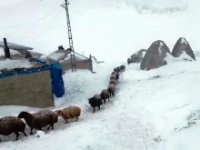 Erzurum’un Horasan ilçesinde tipi ve fırtınanın boyutu kameralara yansıdı.