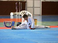 Taekwondo müsabakaları tamamlandı