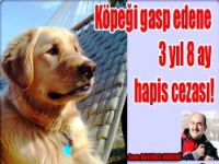 Köpek davasına ceza...