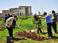 ETÜ’de yeni fidanlar can buldu