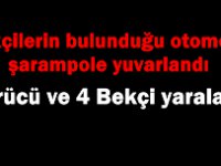 Bekçilerin bulunduğu otomobil şarampole yuvarlandı: 5 yaralı