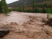 Erzurum'a tarihte ilk kez ekilen lavanta tarlaları sel suları altında kaldı