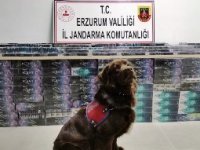 Erzurum’da 5 bin 200 paket kaçak sigara ele geçirildi